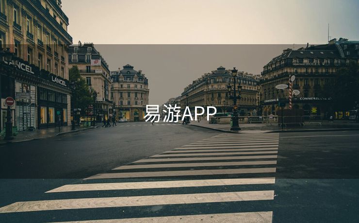 易游APP 易游 易游体育 易游体育官网 易游体育app yy易游app 易游app 第2张