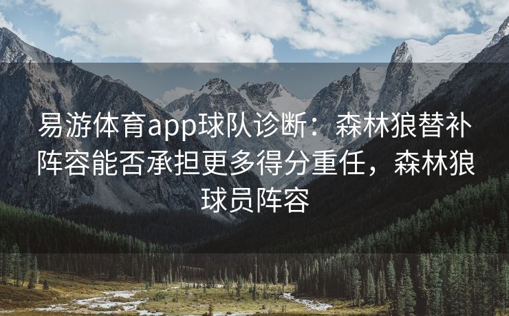 易游体育app球队诊断：森林狼替补阵容能否承担更多得分重任，森林狼球员阵容  第2张