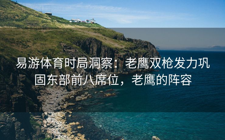 易游体育时局洞察：老鹰双枪发力巩固东部前八席位，老鹰的阵容  第1张